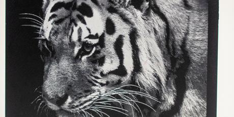 Durablack® - Laser engraving material - Gravograph